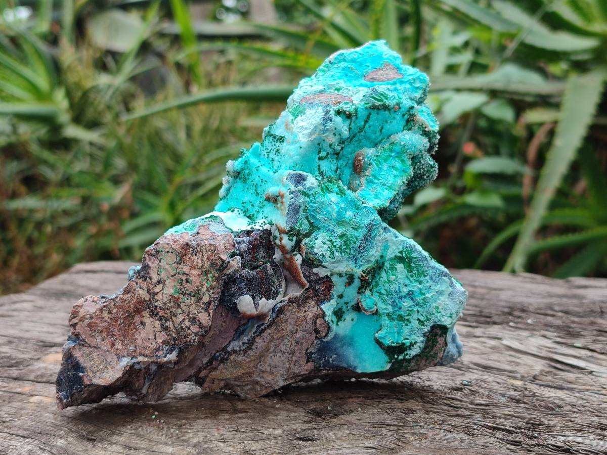 Natural Drusy Coated Chrysocolla Specimens x 6 From Lupoto Mine, Congo - Toprock Gemstones and Minerals 