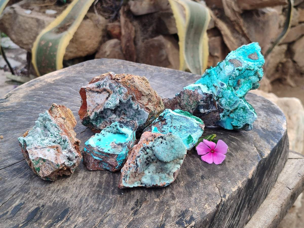 Natural Drusy Coated Chrysocolla Specimens x 6 From Lupoto Mine, Congo - Toprock Gemstones and Minerals 