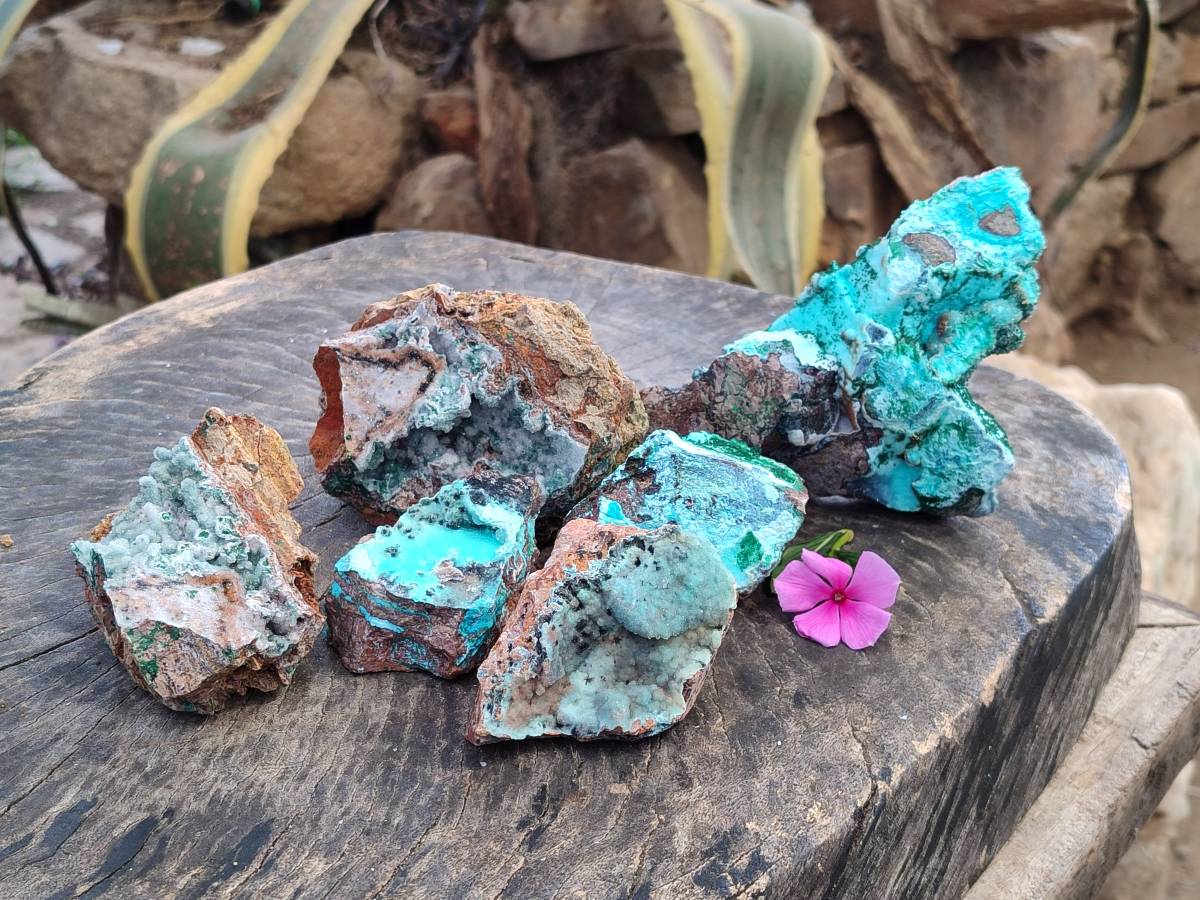 Natural Drusy Coated Chrysocolla Specimens x 6 From Lupoto Mine, Congo - Toprock Gemstones and Minerals 