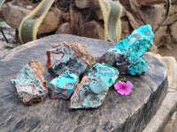 Natural Drusy Coated Chrysocolla Specimens x 6 From Lupoto Mine, Congo