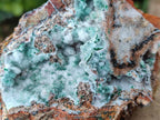 Natural Drusy Coated Chrysocolla Specimens x 6 From Lupoto Mine, Congo - Toprock Gemstones and Minerals 