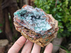 Natural Drusy Coated Chrysocolla Specimens x 6 From Lupoto Mine, Congo - Toprock Gemstones and Minerals 