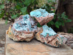 Natural Drusy Coated Chrysocolla Specimens x 6 From Lupoto Mine, Congo - Toprock Gemstones and Minerals 