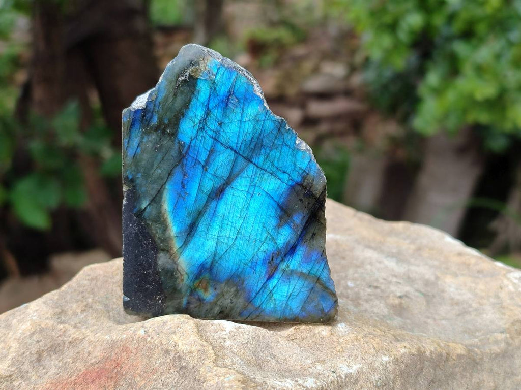 Polished On One Side Labradorite x 12 From Tulear, Madagascar - Toprock Gemstones and Minerals 