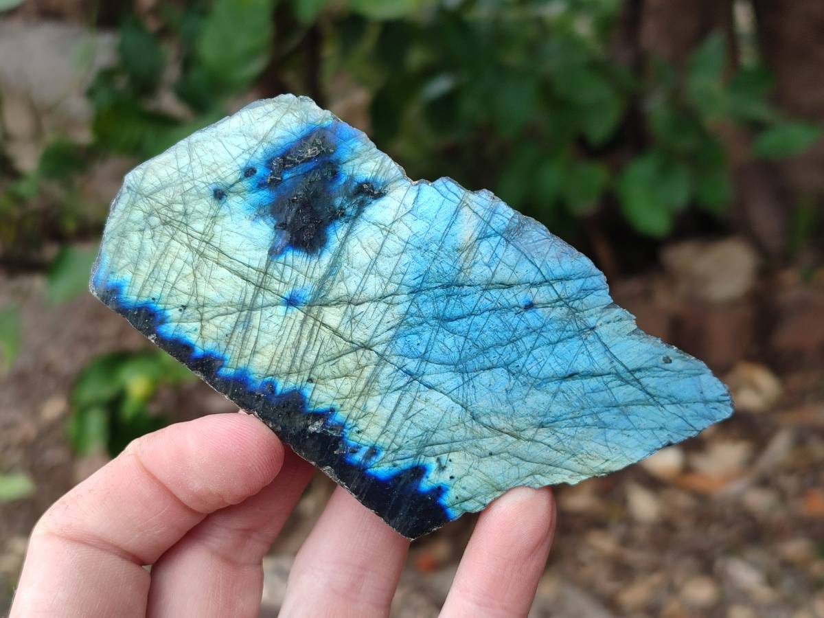 Polished On One Side Labradorite x 12 From Tulear, Madagascar - Toprock Gemstones and Minerals 