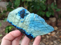 Polished On One Side Labradorite x 12 From Tulear, Madagascar