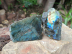 Polished On One Side Labradorite x 12 From Tulear, Madagascar - Toprock Gemstones and Minerals 
