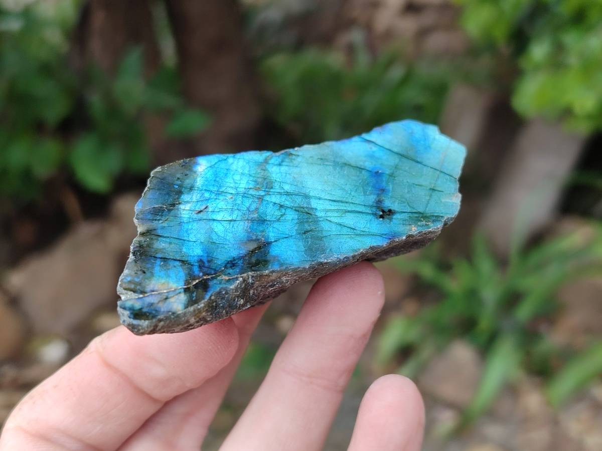 Polished On One Side Labradorite x 12 From Tulear, Madagascar - Toprock Gemstones and Minerals 