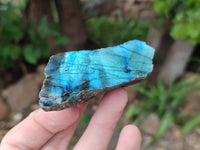 Polished On One Side Labradorite x 12 From Tulear, Madagascar