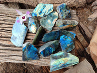 Polished On One Side Labradorite x 12 From Tulear, Madagascar