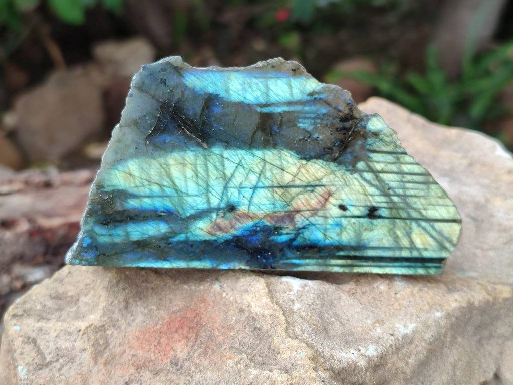 Polished On One Side Labradorite x 12 From Tulear, Madagascar - Toprock Gemstones and Minerals 