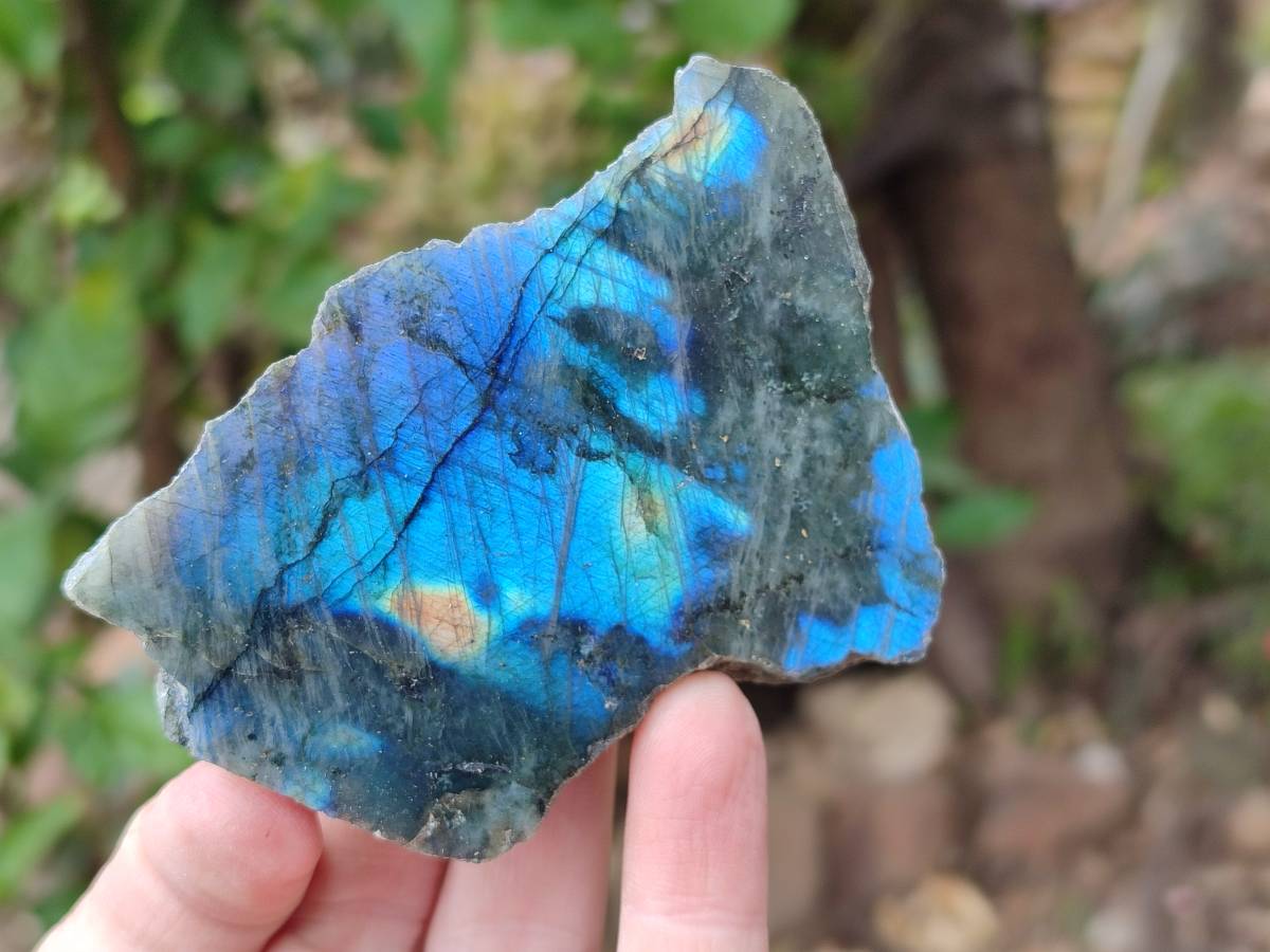 Polished On One Side Labradorite x 12 From Tulear, Madagascar - Toprock Gemstones and Minerals 