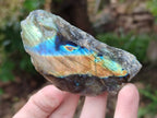 Polished On One Side Labradorite x 12 From Tulear, Madagascar - Toprock Gemstones and Minerals 