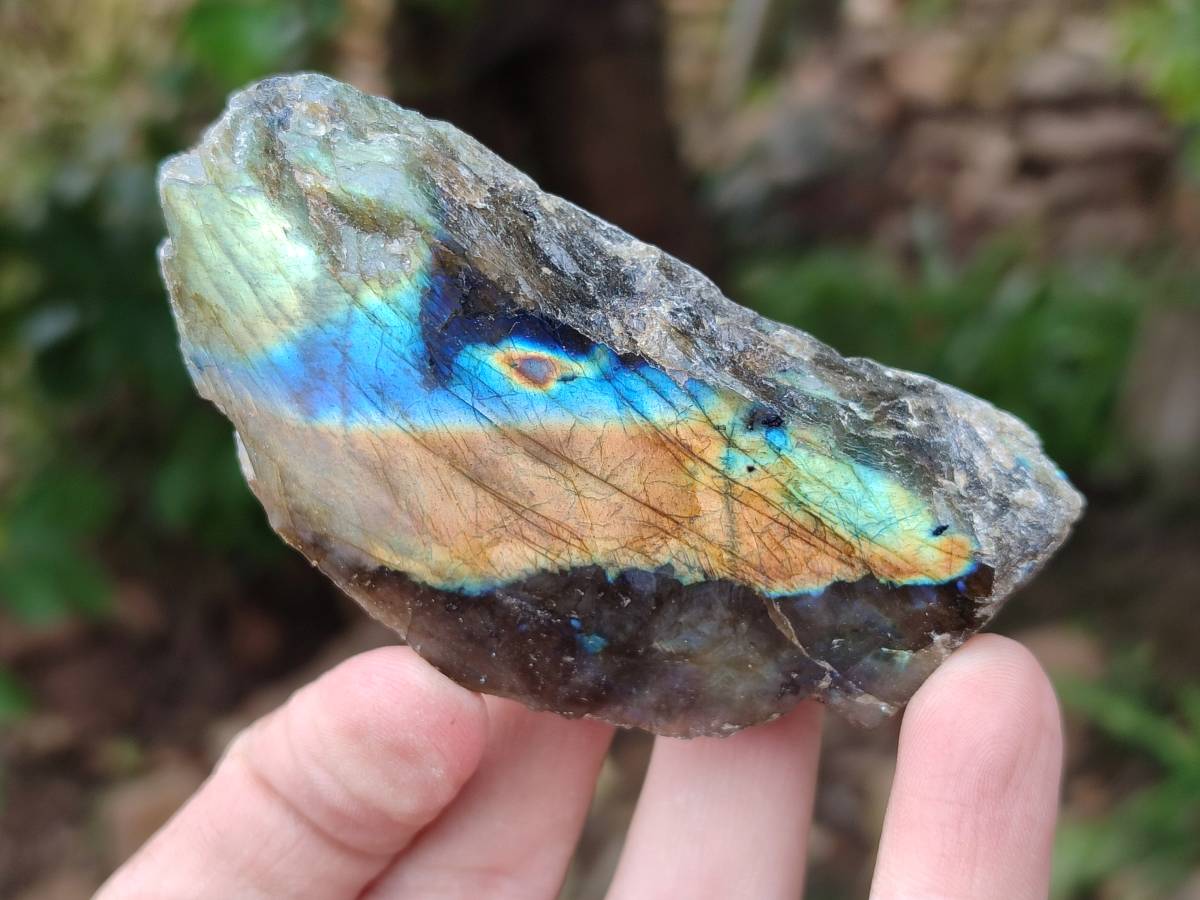 Polished On One Side Labradorite x 12 From Tulear, Madagascar - Toprock Gemstones and Minerals 