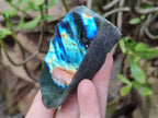 Polished On One Side Labradorite x 12 From Tulear, Madagascar - Toprock Gemstones and Minerals 
