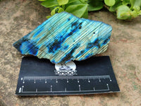 Polished On One Side Labradorite x 12 From Tulear, Madagascar