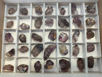 Natural Window Amethyst Crystals x 35 From Chiredzi, Zimbabwe - Toprock Gemstones and Minerals 