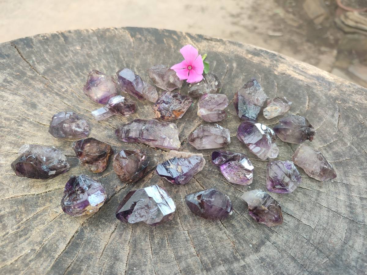 Natural Window Amethyst Crystals x 35 From Chiredzi, Zimbabwe - Toprock Gemstones and Minerals 