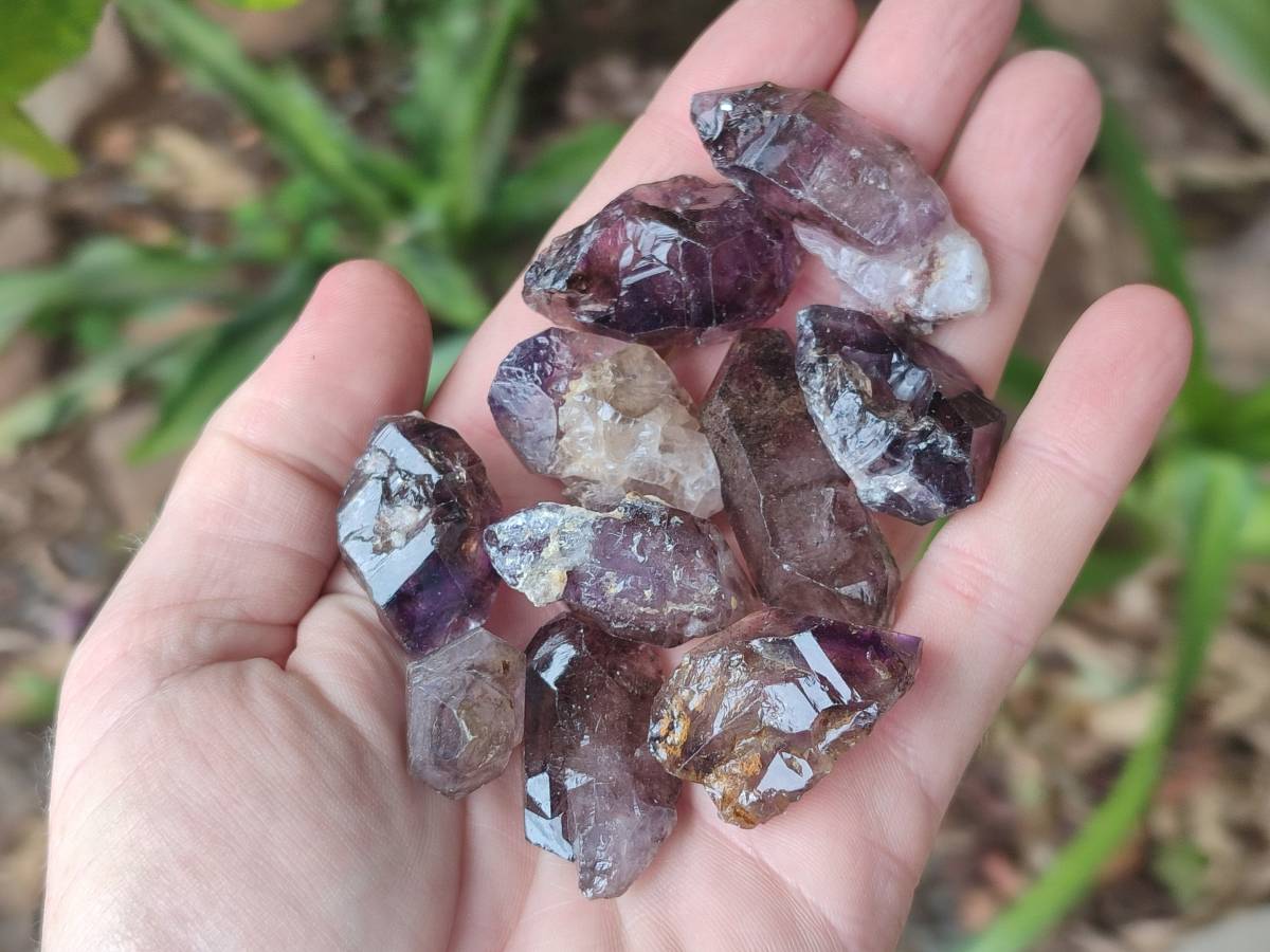 Natural Window Amethyst Crystals x 35 From Chiredzi, Zimbabwe - Toprock Gemstones and Minerals 