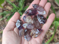 Natural Window Amethyst Crystals x 35 From Chiredzi, Zimbabwe