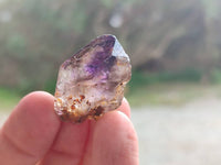 Natural Window Amethyst Crystals x 35 From Chiredzi, Zimbabwe
