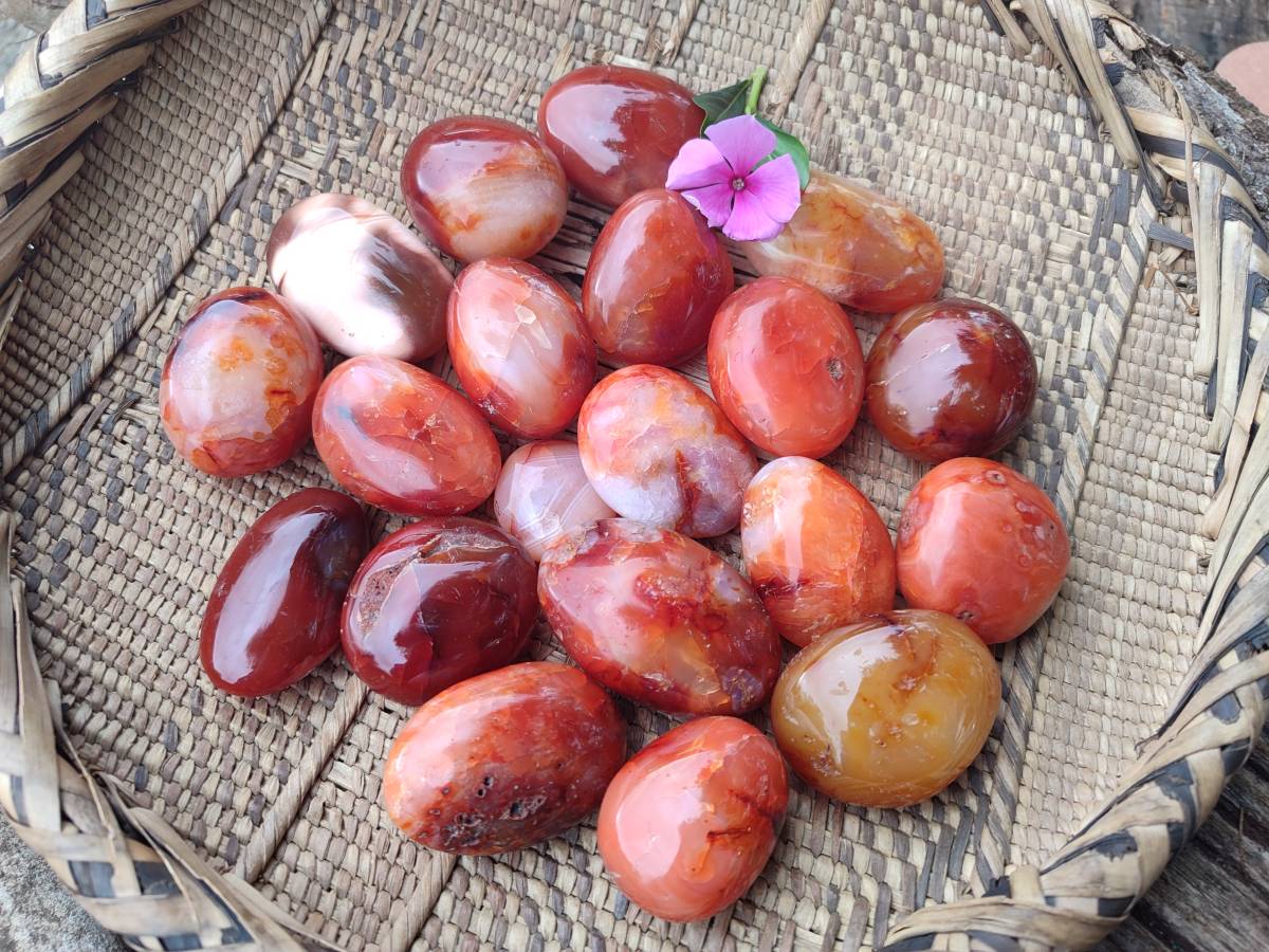 Polished Carnelian Agate Gemstone Galets x 20 From Madagascar - Toprock Gemstones and Minerals 