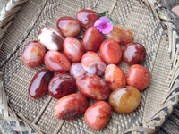Polished Carnelian Agate Gemstone Galets x 20 From Madagascar