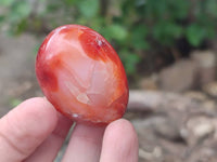 Polished Carnelian Agate Gemstone Galets x 20 From Madagascar