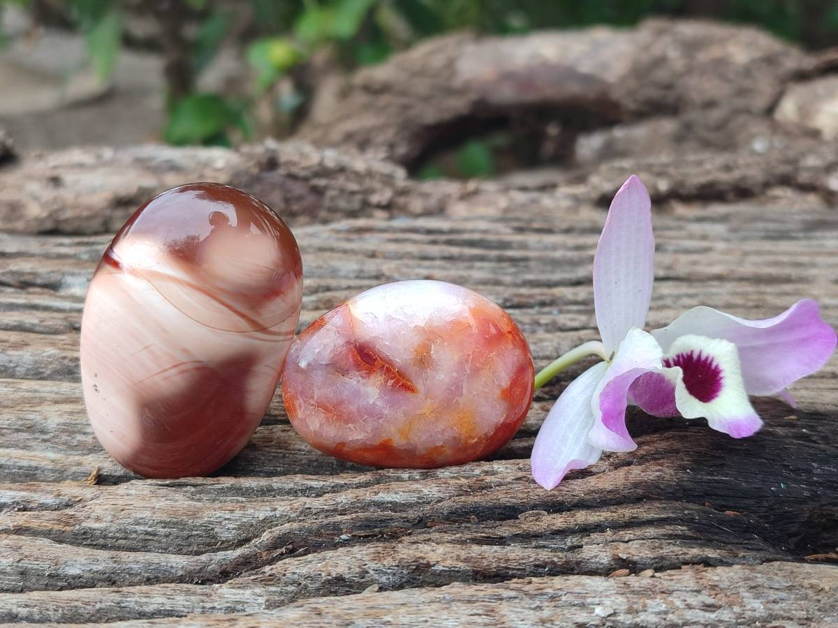 Polished Carnelian Agate Gemstone Galets x 20 From Madagascar - Toprock Gemstones and Minerals 