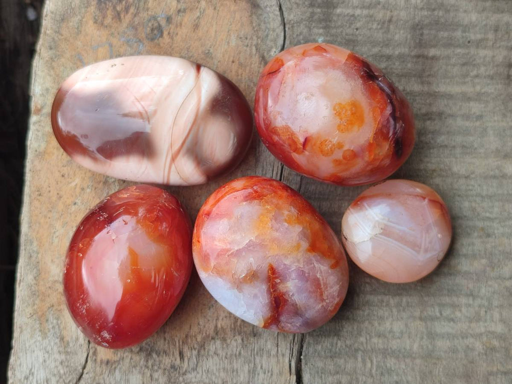 Polished Carnelian Agate Gemstone Galets x 20 From Madagascar - Toprock Gemstones and Minerals 