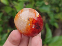 Polished Carnelian Agate Gemstone Galets x 20 From Madagascar