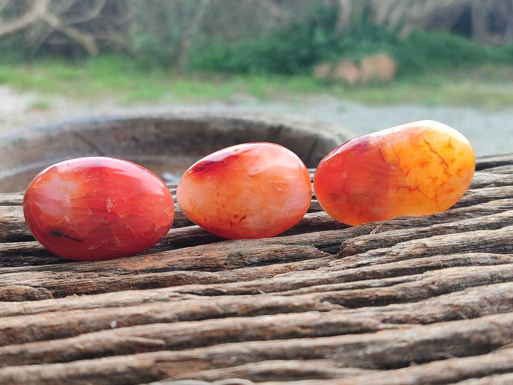 Polished Carnelian Agate Gemstone Galets x 20 From Madagascar - Toprock Gemstones and Minerals 
