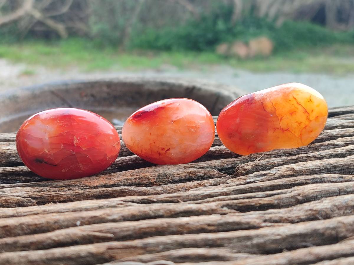 Polished Carnelian Agate Gemstone Galets x 20 From Madagascar - Toprock Gemstones and Minerals 
