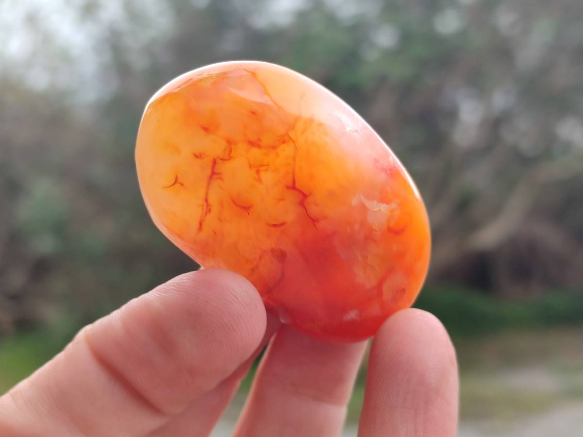 Polished Carnelian Agate Gemstone Galets x 20 From Madagascar - Toprock Gemstones and Minerals 