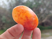 Polished Carnelian Agate Gemstone Galets x 20 From Madagascar