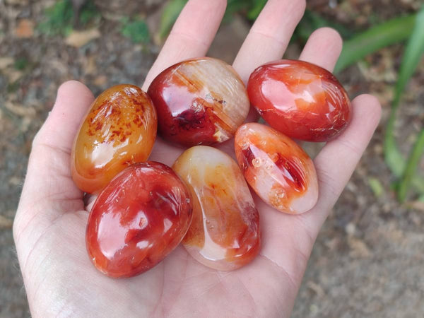 Polished Carnelian Agate Gemstone Galets x 20 From Madagascar