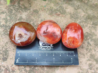Polished Carnelian Agate Gemstone Galets x 20 From Madagascar