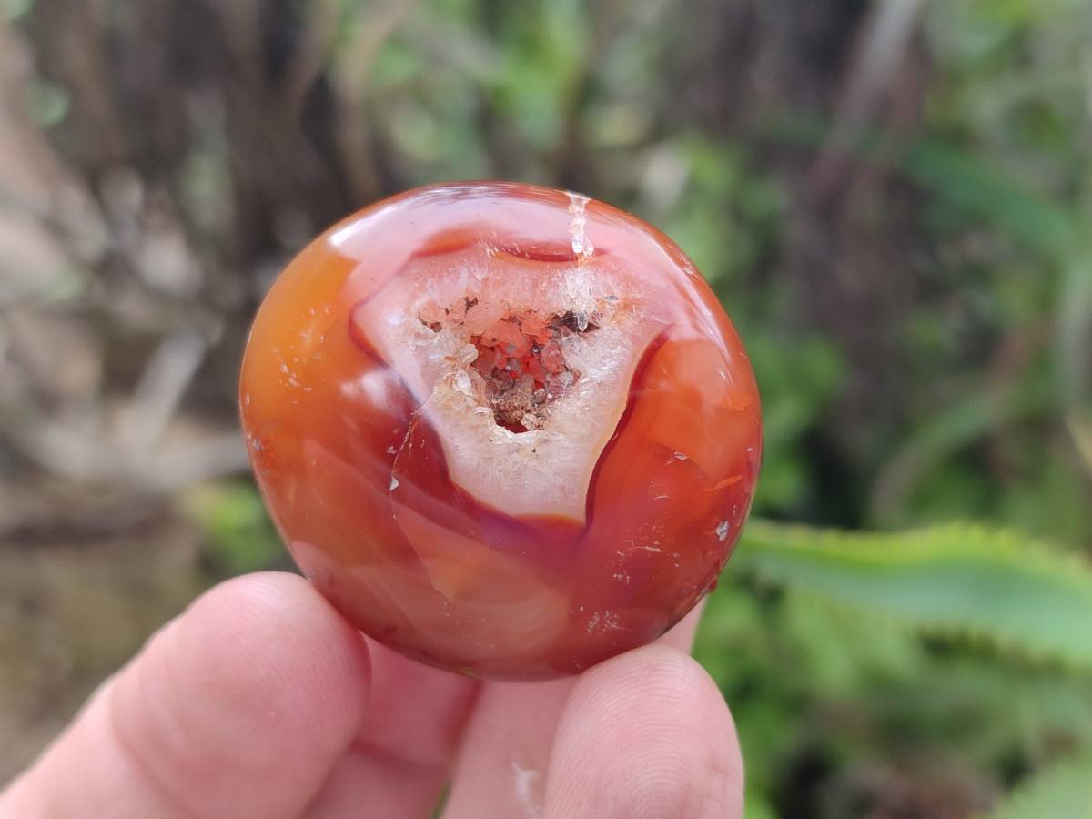 Polished Carnelian Agate Gemstone Galets x 20 From Madagascar - Toprock Gemstones and Minerals 