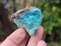 Natural Shattuckite, Chrysocolla with Malachite Specimens x 3.19Kg Lot From Koakoveld, Namibia