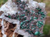 Natural Crystalline Ball Malachite and Quartz On Dolomite Matrix Specimens x 2 From Kambove, Congo