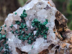 Natural Crystalline Ball Malachite and Quartz On Dolomite Matrix Specimens x 2 From Kambove, Congo - Toprock Gemstones and Minerals 