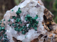 Natural Crystalline Ball Malachite and Quartz On Dolomite Matrix Specimens x 2 From Kambove, Congo