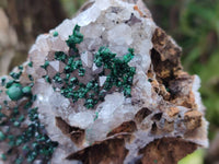 Natural Crystalline Ball Malachite and Quartz On Dolomite Matrix Specimens x 2 From Kambove, Congo