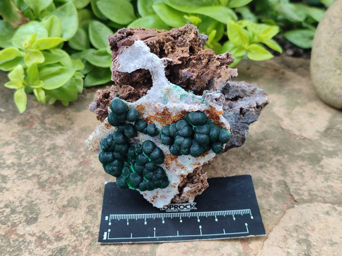 Natural Crystalline Ball Malachite and Quartz On Dolomite Matrix Specimens x 2 From Kambove, Congo - Toprock Gemstones and Minerals 