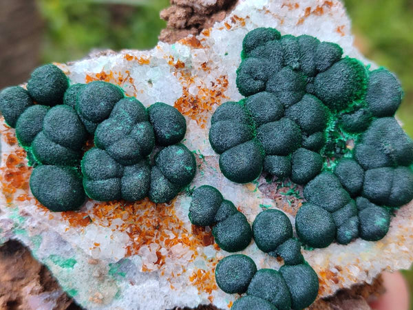 Natural Crystalline Ball Malachite and Quartz On Dolomite Matrix Specimens x 2 From Kambove, Congo
