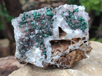 Natural Crystalline Ball Malachite and Quartz On Dolomite Matrix Specimens x 2 From Kambove, Congo