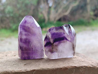 Polished Window Amethyst Crystals x 12 From Akansobe, Madagascar