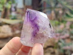 Polished Window Amethyst Crystals x 12 From Akansobe, Madagascar - Toprock Gemstones and Minerals 