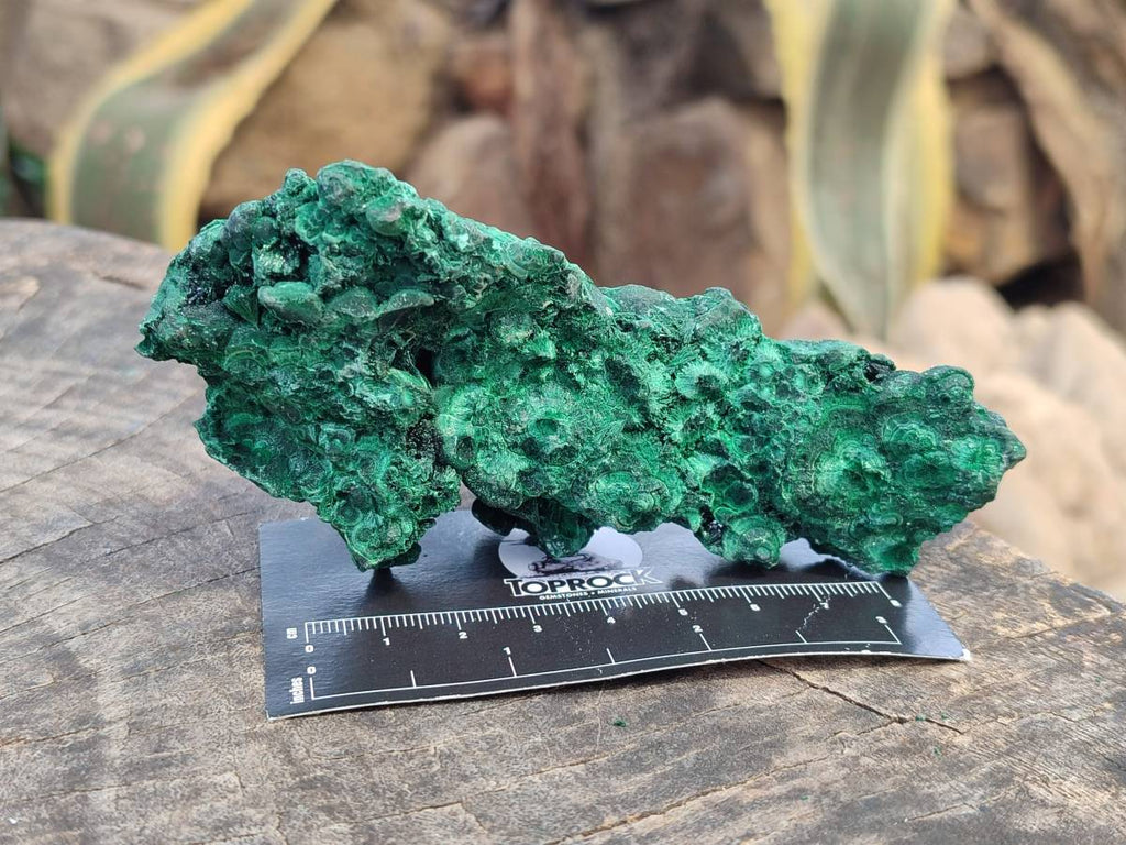 Natural Silky Malachite Specimens x 6 From Kasompe, Congo - Toprock Gemstones and Minerals 