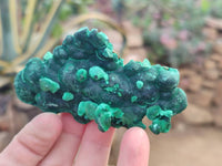Natural Silky Malachite Specimens x 6 From Kasompe, Congo